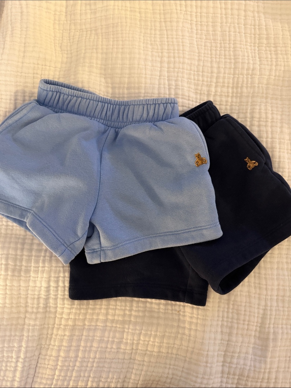 GAP Kids Shorts in Light Blue and Navy with Bear Patch